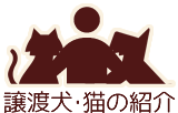 譲渡犬・猫の紹介