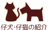 仔犬・仔猫の紹介